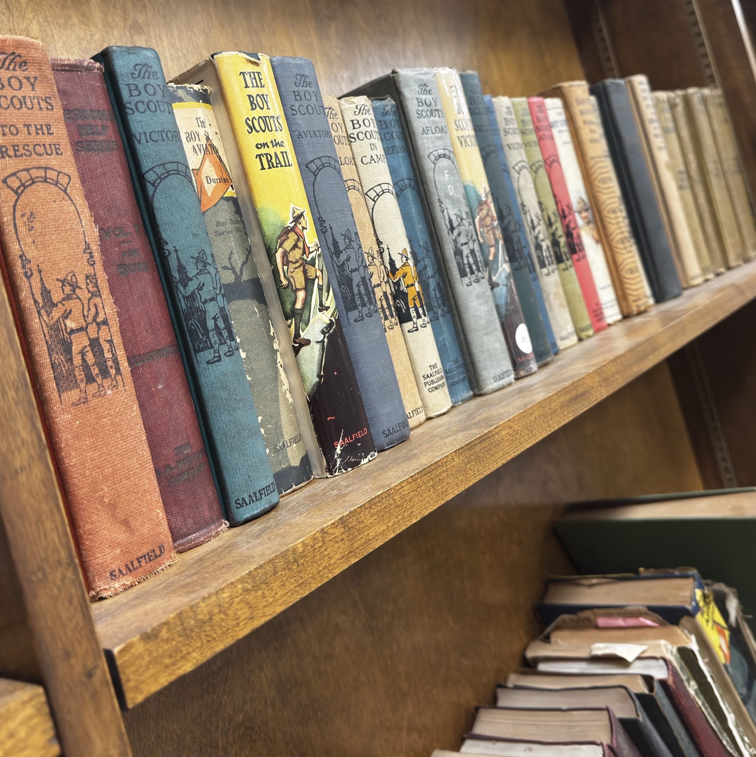 Boy Scout Library