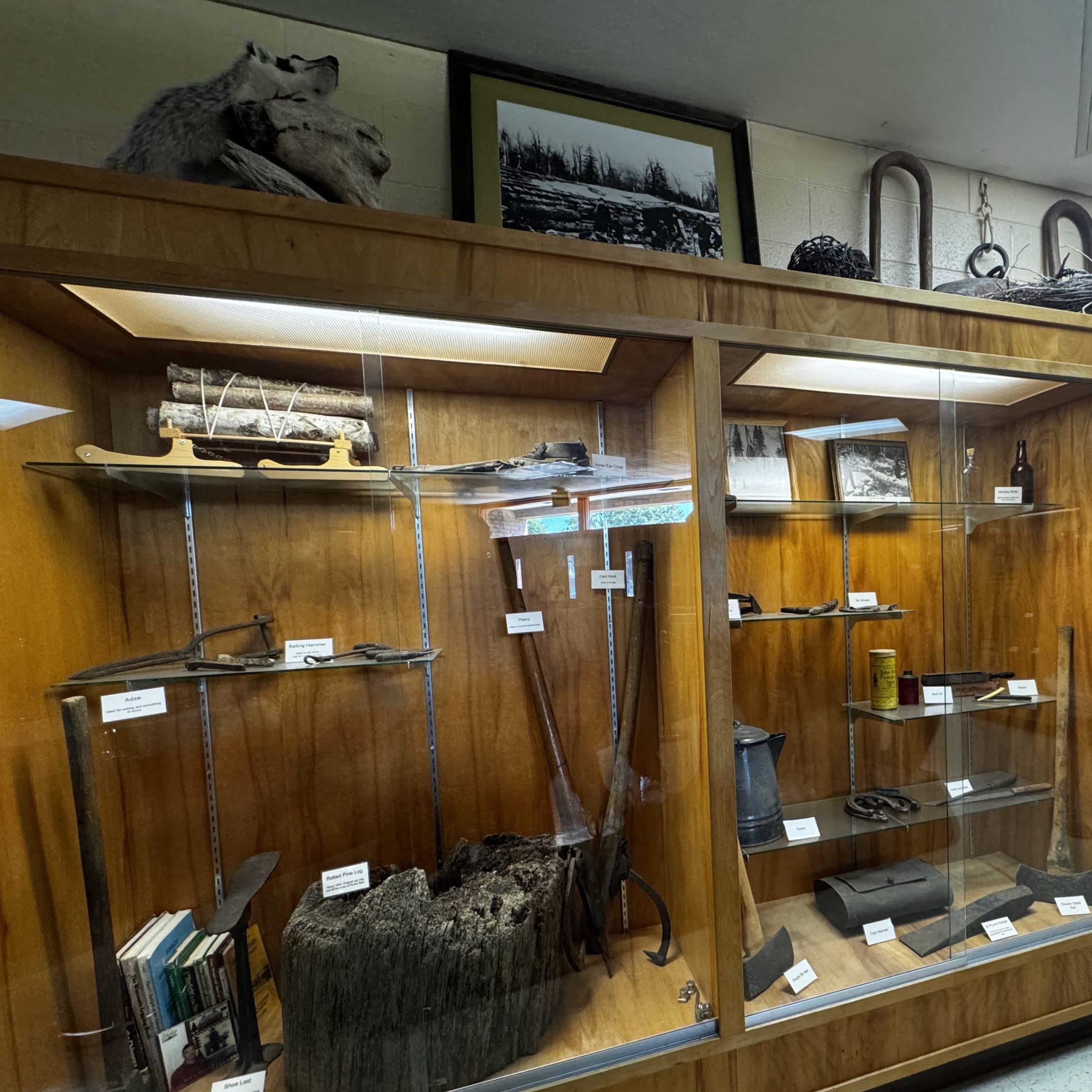 Logging Artifacts